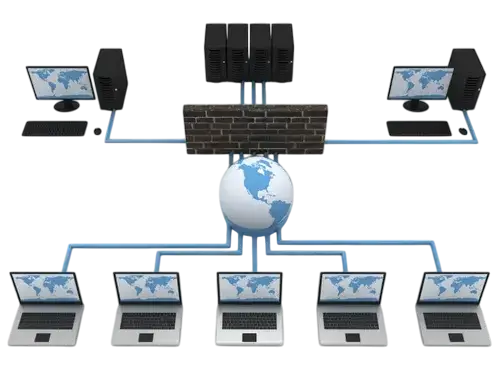 What are Server & Network Solution