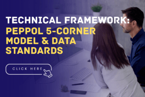 Peppol 5-Corner Model